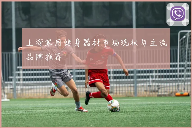 上海家用健身器材市场现状与主流品牌推荐