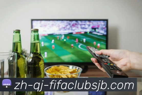 多媒体互动体验