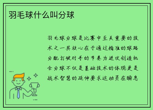 羽毛球什么叫分球