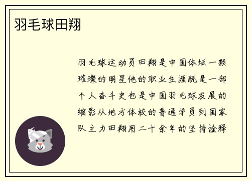 羽毛球田翔
