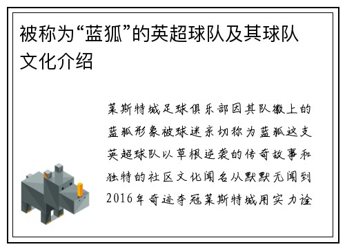 被称为“蓝狐”的英超球队及其球队文化介绍